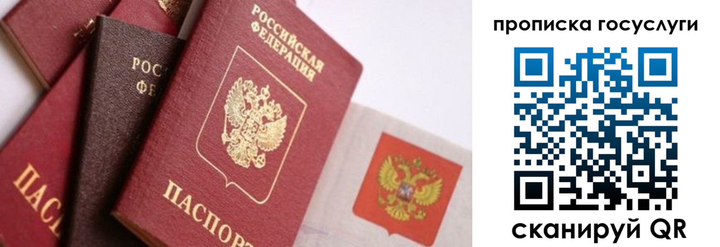 прописка законно в Рыльске